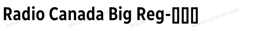 Radio Canada Big Reg字体转换